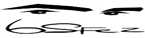 Bsfez Eyebrow 300